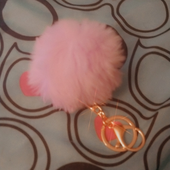 Key chains - Picture 15 of 16